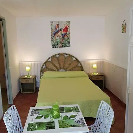 Apartment Cote Sud